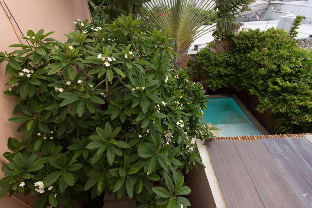 Hotel Boutique Casa San Angel (Adults Only) Mérida Eksteriør bilde